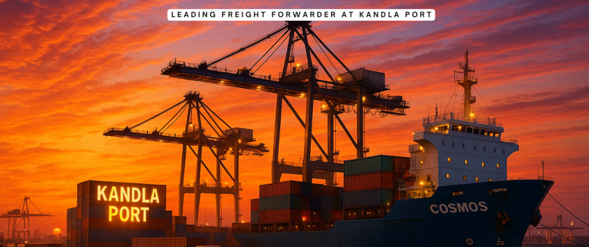 Leading Freight Forwarder at Kandla Port