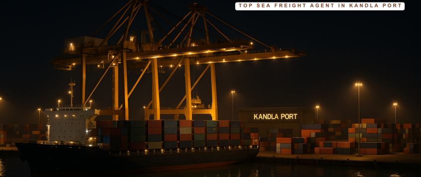 Top Sea Freight Agent in Kandla Port