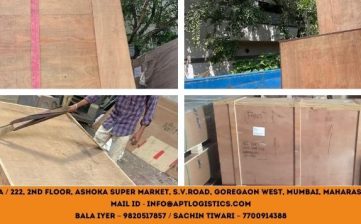 APT LOGISTICS SPECIALIZES IN PROVIDING RELIABLE WOODEN PALLET SOLUTIONS FOR SEA EXPORT SHIPMENTS.
