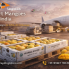 How to Export Mangoes from India to UAE, UK & Europe | APT Logistics