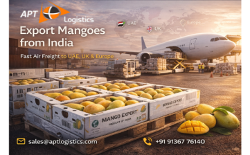 How to Export Mangoes from India to UAE, UK & Europe | APT Logistics