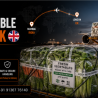 Fresh Vegetable Export to UK | Perishable Air Cargo Case Study