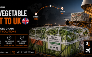 Fresh Vegetable Export to UK | Perishable Air Cargo Case Study