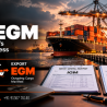 IGM vs EGM: Key Differences in Indian Customs