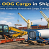 What is OOG Cargo in Shipping? Complete Guide